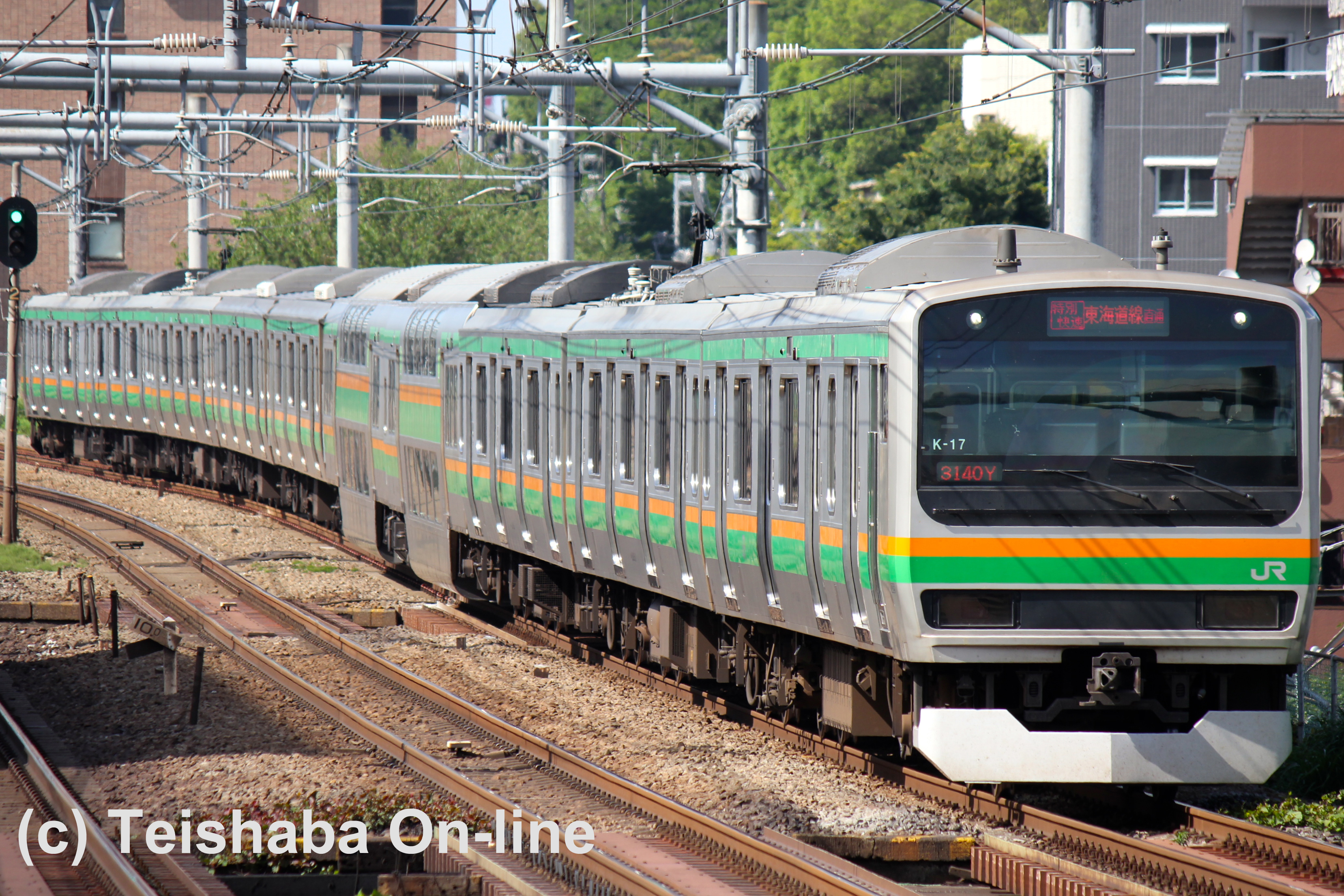 湘南新宿ライン E231系近郊型 - Teishaba On-line
